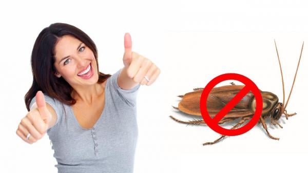 هكذا ترتاحين من الصراصير نهائيا