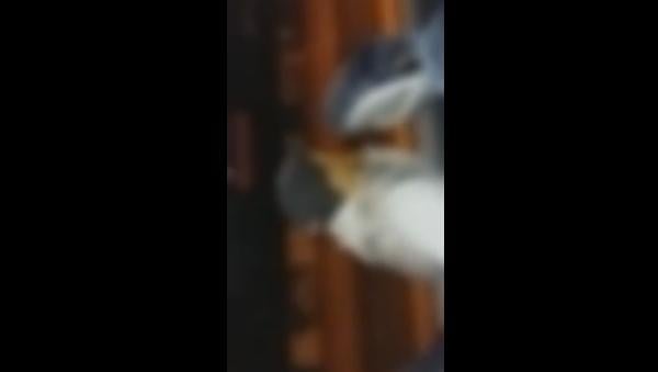 صادم .. فيديو من وسط حافلة نقل المسافرين التي تعرضت لهجوم بالحجارة من طرف عصابة إجرامية