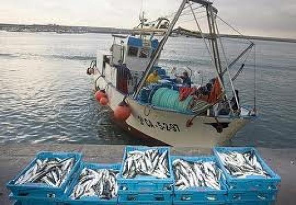   مستقبل العلاقات المغربية الأوروبية غداة توقيف العمل باتفاقية الصيد البحري