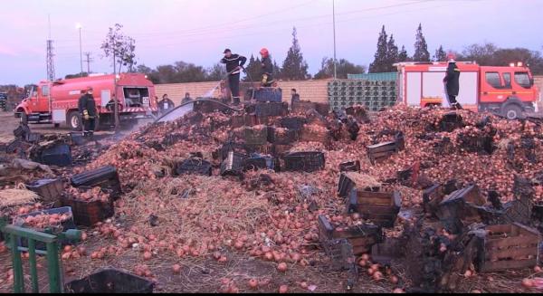 في وقت قياسي.. الأمن يوقع بالمتهم الرئيسي بإضرام النار في 60 طنا من البصل ببرشيد وسبب تافه وراء الجريمة