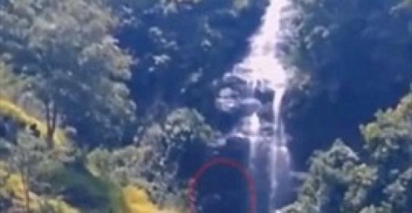 بالفيديو .. مخلوق غريب يظهر في غابات أندونيسيا