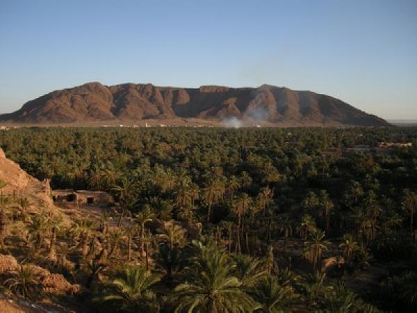مع ترقب إعادة فتح الحدود بين البلدين  أراضي الفلاحين المغاربة المنتزعة جزائريًا مشكلة تنتظر الحل