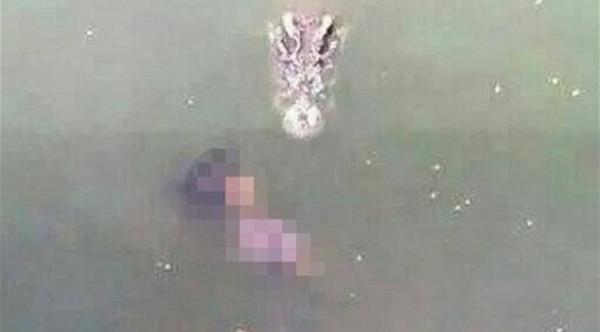 تايلندية تنتحر بتقديم نفسها وجبة لـ 1000 تمساح