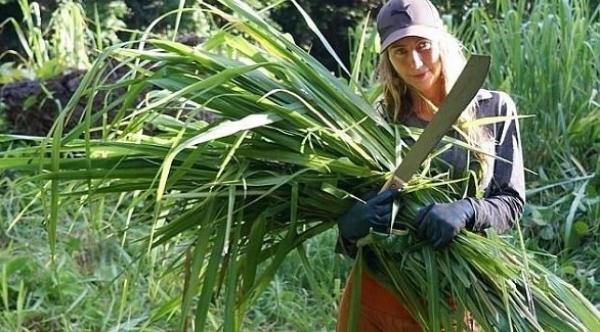 تعرف على فتاة الأدغال التي تقتات على أوراق الشجر