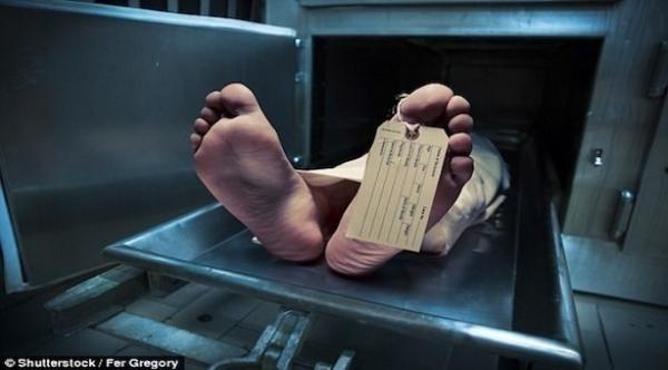 تبرعت بأعضائها لأربعة أشخاص فماتوا جميعاً بمرض السرطان