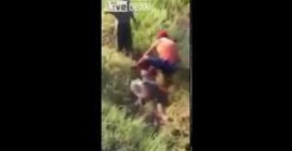 بالفيديو.. «قرموط» ضخم يصفع رجلًا ويسقطه فاقد الوعي