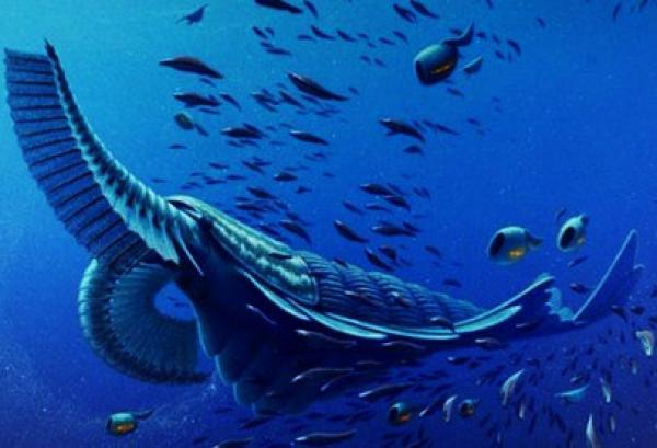 اكتشاف حفريات لمخ كائنات بحرية عجيبة منقرضة