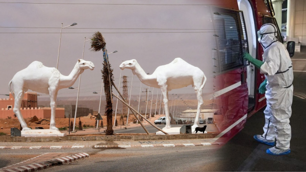 حالة استنفار بطانطان بعد إصابة 15 شخصا من الطاقم الطبي بفيروس كورونا