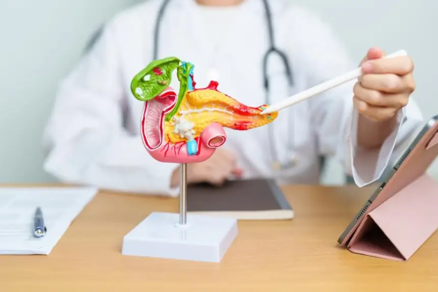 بفضل علاج ثلاثي مبتكر : علماء إسبان ينجحون في القضاء كليا على سرطان البنكرياس