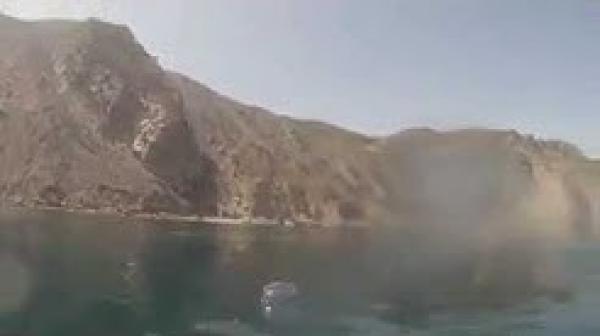 العثور على قنديل بحر سام بشاطئ بالحسيمة