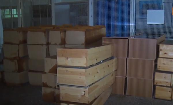 العثور على 20 جثة لمهاجرين غير شرعيين طفت على البحر في تونس