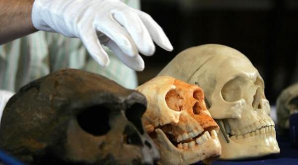 حفريات جديدة تحسم الجدل حول نسب كائن "الهوبيت"