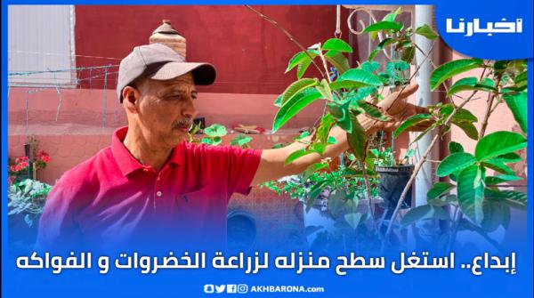 مغربي يحول سطح منزله إلى مزرعة للخضروات والفواكه