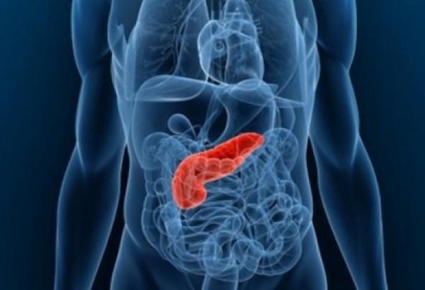 اكتشاف علاج للسكري باستخدام خلايا الأمعاء