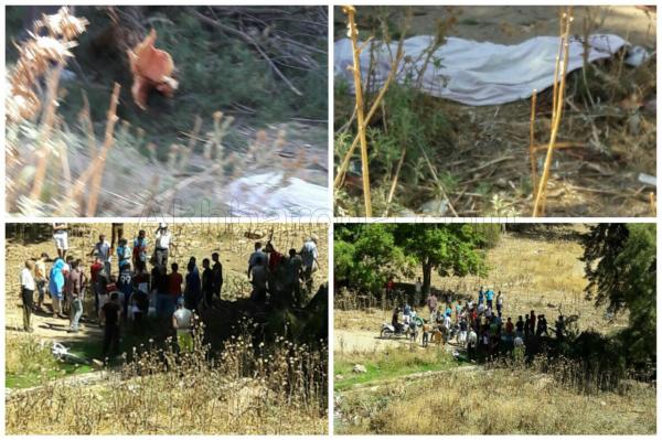 عاجل وفاجعة... شجرة معمرة تسقط على أربعة أشخاص وتقتل واحد وترسل 3 في حالة خطرة للمستعجلات (صور)