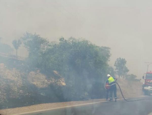 عاجل... النيران تلتهم أراض شاسعة بهذه المنطقة واستنفار فرق الوقاية المدنية