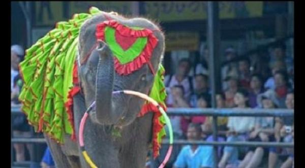 تايلاند من أخطر الوجهات السياحية على الأرض