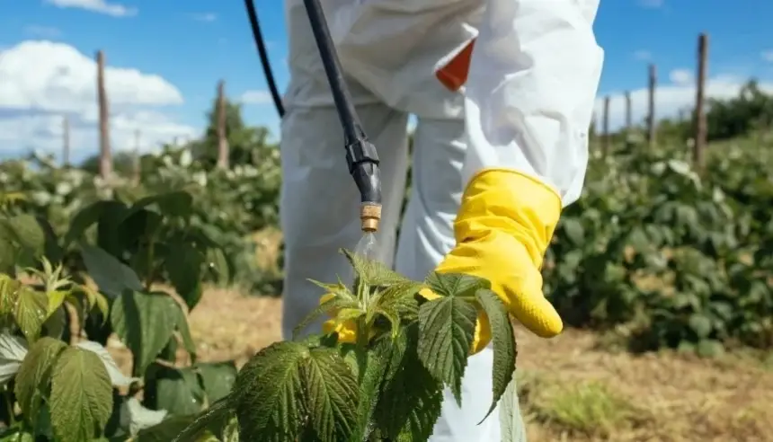 بكتيريا النباتات تسرق الماء من الداخل.. اكتشاف علمي قد يفتح بابا جديدا لحماية المحاصيل