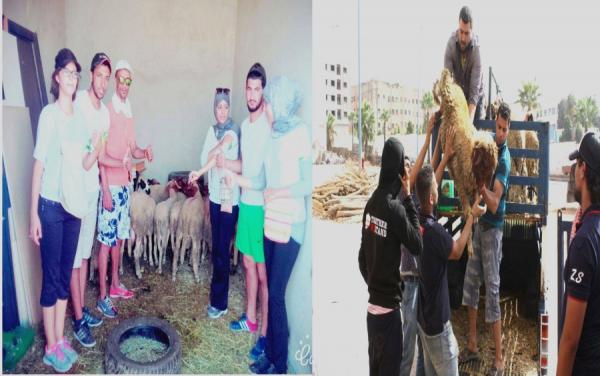 " ناس الحومة " و " هيرو فاميلي " مجموعات فيسبوكية تخلق الحدث في عيد الأضحى