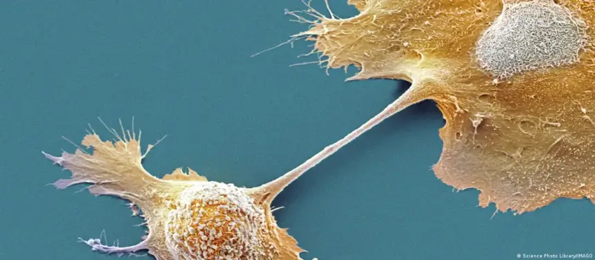 اكتشافات جديدة تمنح الأمل في مواجهة أصعب أنواع السرطان