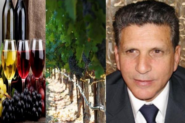 قانون " خدام الدولة " يمنح برلمانيا 120 هكتار من الأراضي خصصها لإنتاج عنب الخمور