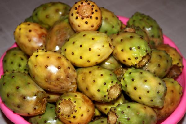 القوات العمومية تقلب عربة "مول" الهندية وتعتقله بطريقة مهينة