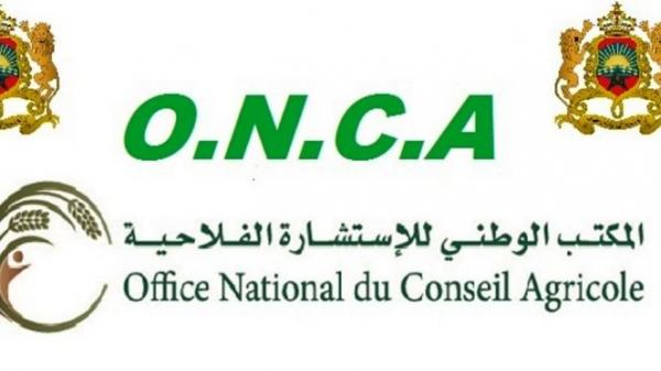 المكتب الوطني للاستشارة الفلاحية يخصص فضاء للفلاح في المعرض الدولي للفلاحة 2019