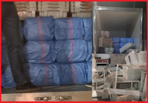 أمن العرائش يحبط كمية ضخمة من المخدرات مخبأة داخل شحنة سمك