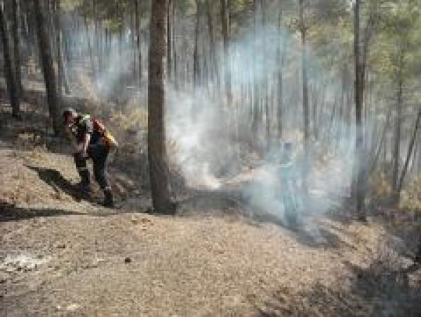 تطويق حريق شب في غابة الكيتان قرب تطوان