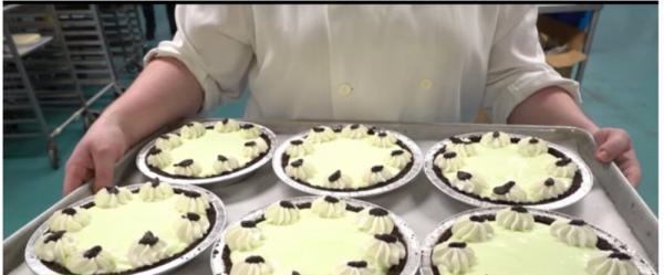 بالصور .. متجر كندي يقدم حلويات ممزوجة بالحشرات