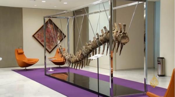 اكتشاف صنف جديد من الديناصورات كان يعيش بالأرجنتين قبل نحو 110 مليون سنة