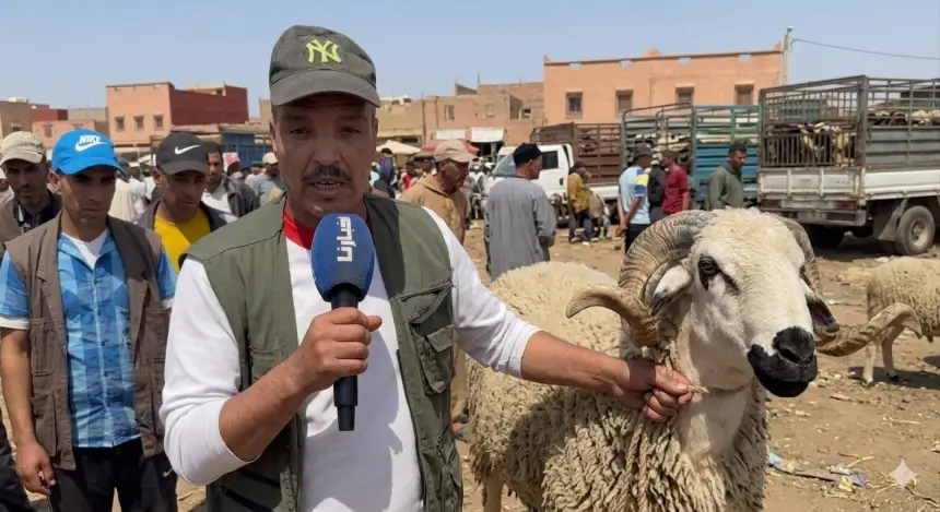 مواطن يفضح الشناقة: بغاو يبردو فينا الغذايذ فهاد العيد.. أثمنة كتشفّر الجيوب والمواطن مقهور!