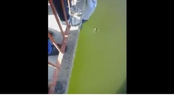 فيديو..عمل بطولي لشاب أنقذ حياة فتاة بعدما ألقت بنفسها من فوق قنطرة واد