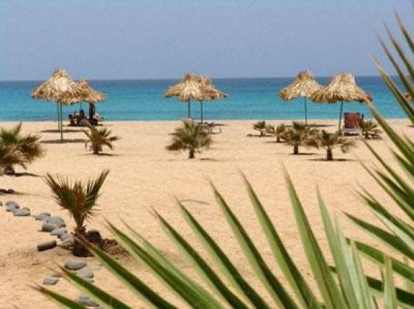 أسماك القرش بساحل مارتيل تثير هلع المصطافين