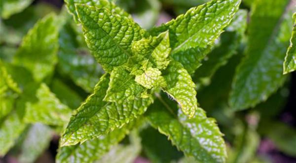 7 أشياء غير متوقعة تسهل إنقاص الوزن