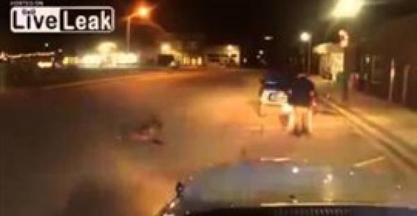 بالفيديو.. كلب بوليسي يهاجم مشتبها به أثناء محاولته مقاومة شرطي