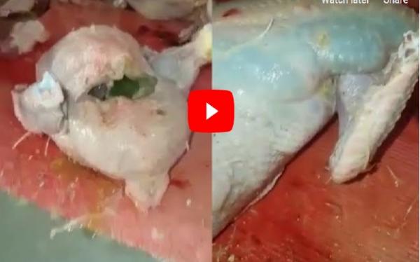 ردو البال آش كتاكلو.. شوفو شنو لقا بائع دجاج بوجدة داخل دجاجة