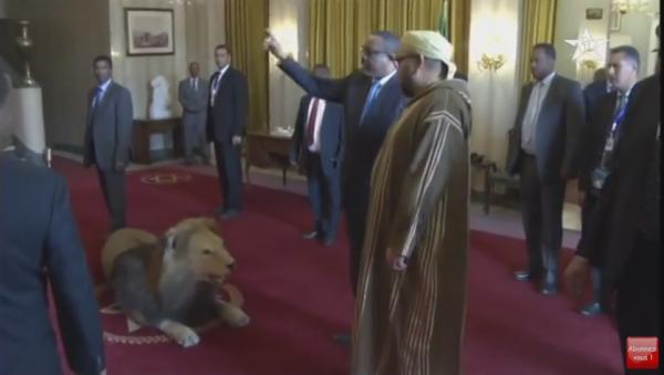 طقوس اثيوبية غريبة و أسـد '' مـْكُـوفْرْ '' في استقبال الملك محمد السادس