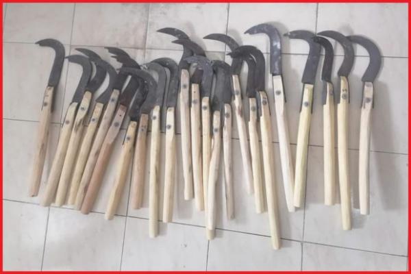 توقيف طالبين لحيازتهما 23 ساطورًا يُعيد العنف الجامعيّ إلى واجهة النقاش العموميّ