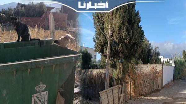 غياب بوادر التنمية يحاصر ساكنة جماعة بنقريش ضواحي تطوان