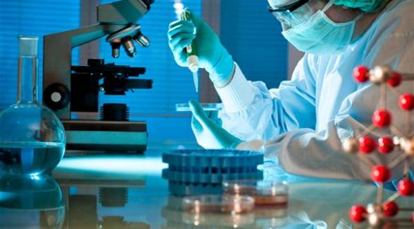 خبراء يطورون رئات صغيرة معملياً باستخدام خلايا جذعية