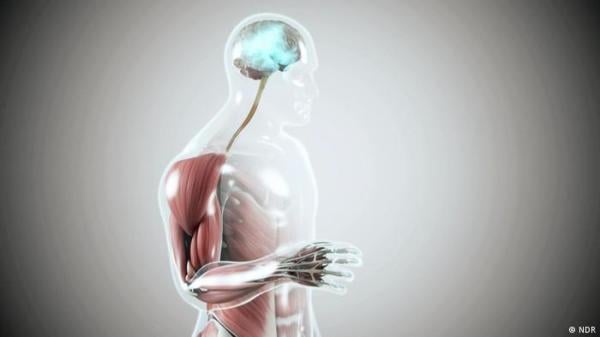 اكتشاف مسببات الباركنسون قد يفتح الأمل في العلاج!