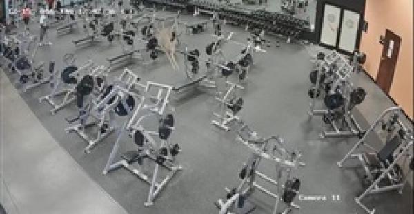 بالفيديو.. غزال يدخل صالة جيم