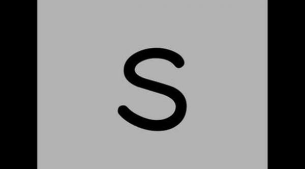  فارق بين الشركتين هو حرف "أس" الذي يميزها عن الشركة الأولى التي أفلست 