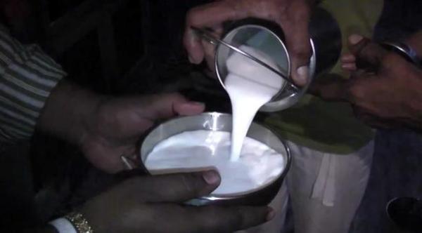 متى يكون حليب الجاموس خياراً صحياً؟