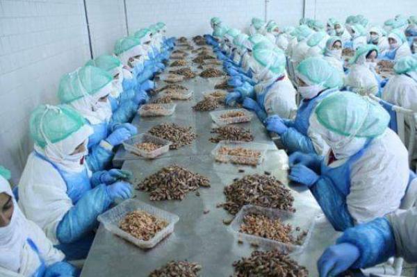 بؤرة صناعية جديدة قد تبعثر الأوراق بتطوان وهذه هي الحصيلة المؤقتة