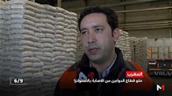 الدواجن التي يتم إنتاجها بالمغرب ليست مصابة بالأنفلونزا