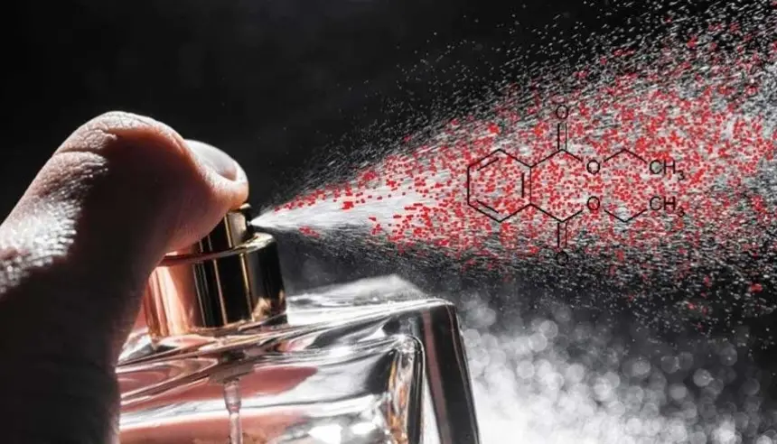 عطور شهيرة قد تؤثر على الهرمونات وتسبب تساقط الشعر وزيادة الوزن