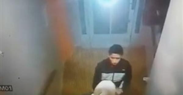 بالفيديو..شفار يستغل خوف امرأة ويسرق حقيبتها بمدينة طنجة