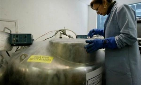 رجل يستخدم أموال مسروقة لتجميد زوجته وعودتها للحياة في المستقبل